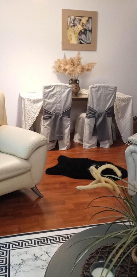 Lovely Cozy Apartment In The Entrance Of Nicosia Aglantzia Exteriér fotografie